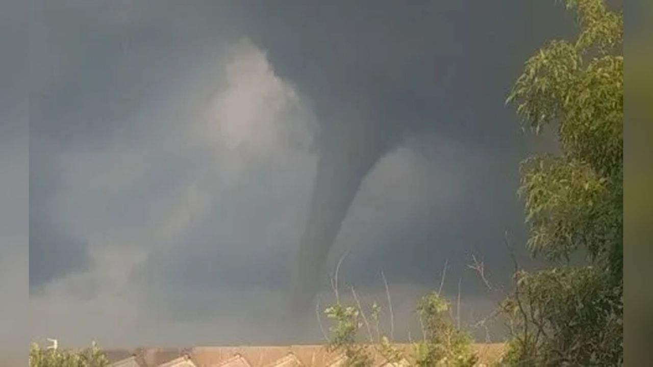Fuerte tromba azota Guadalajara; provoca encharcamientos y 14 árboles caídos