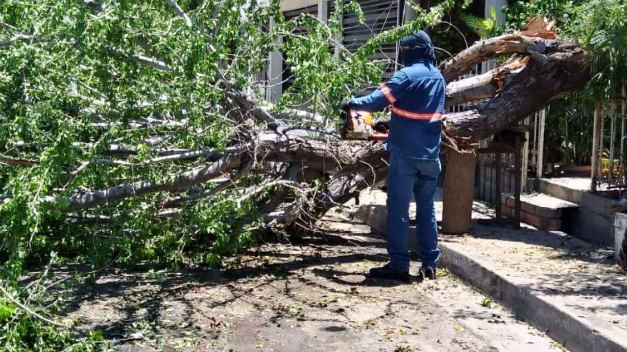 Hermosillo: Personal de Cidue retira residuos de calles obstruidas tras lluvias