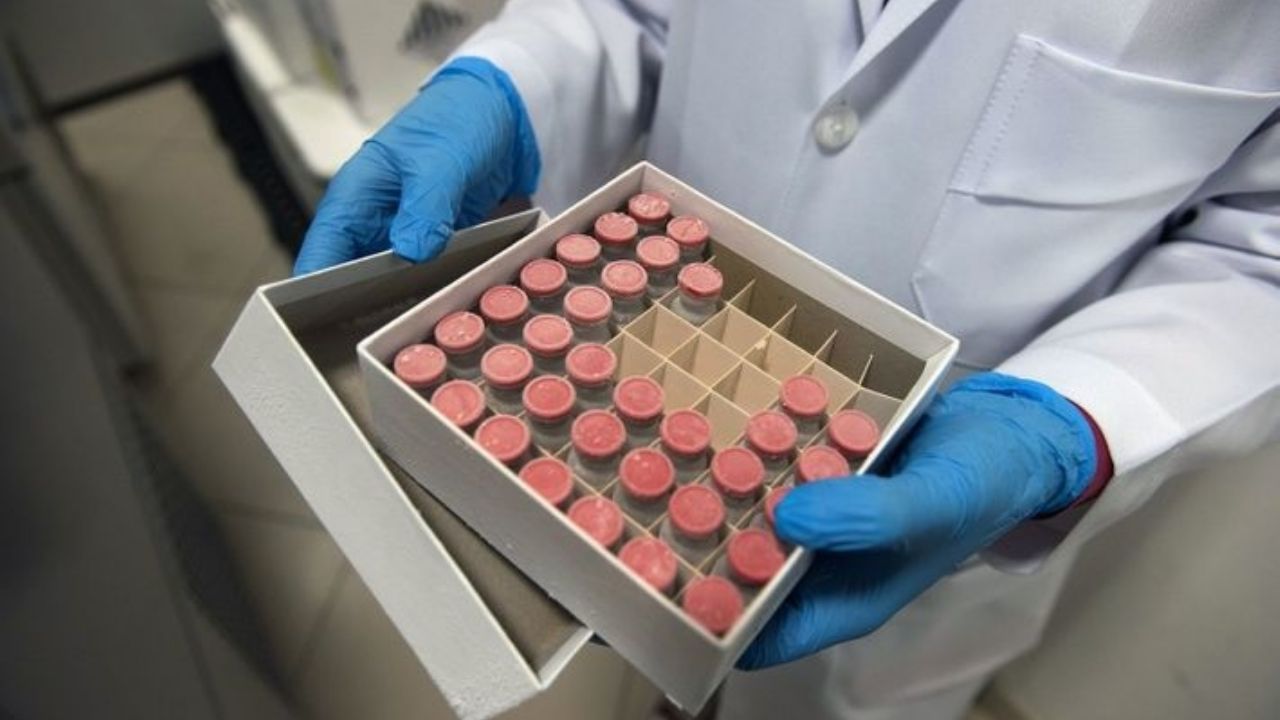 Ayuda Covid-19: Desarrollan una vacuna contra el coronavirus a base de plantas