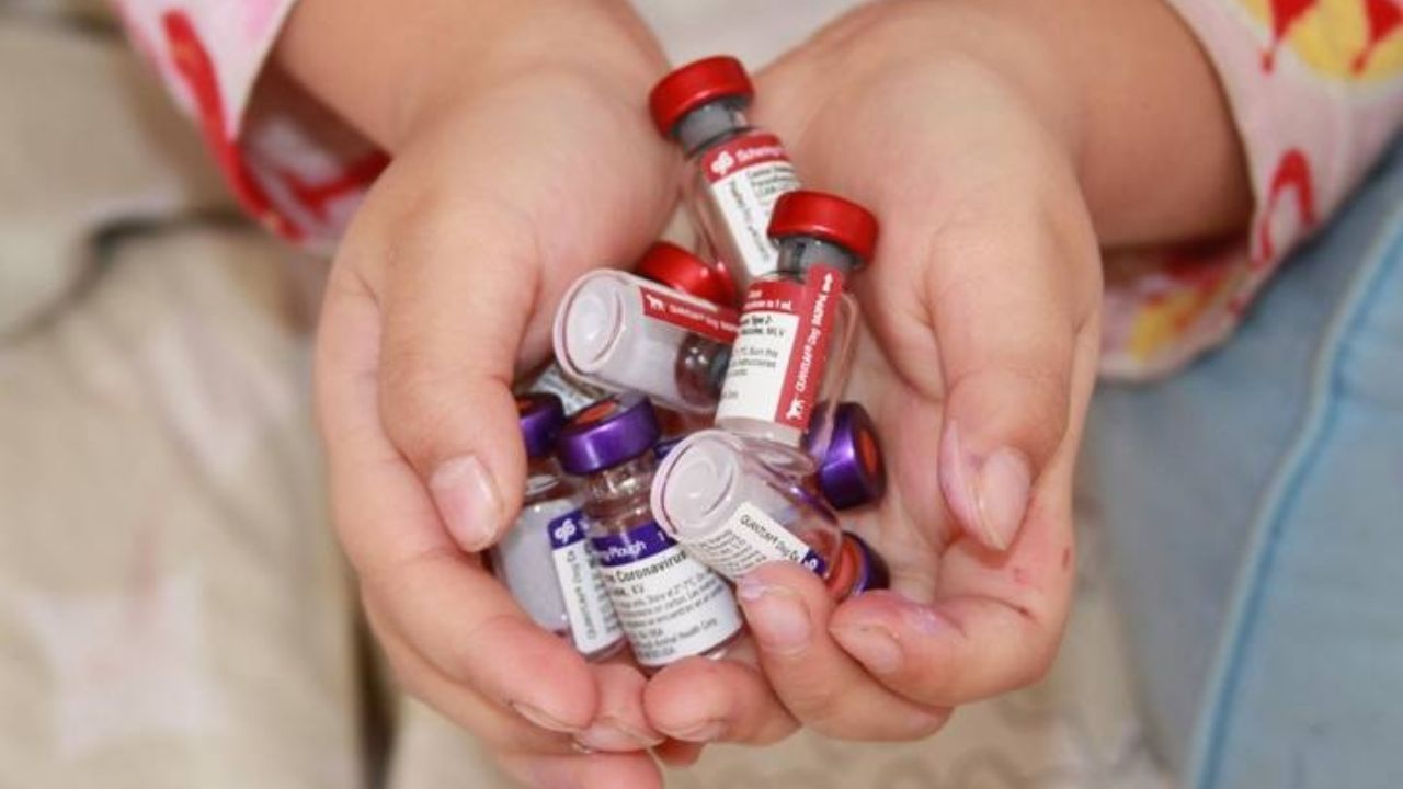 Ayuda Covid-19: OMS confía en los “resultados inmunológicos” de la vacuna de Oxford