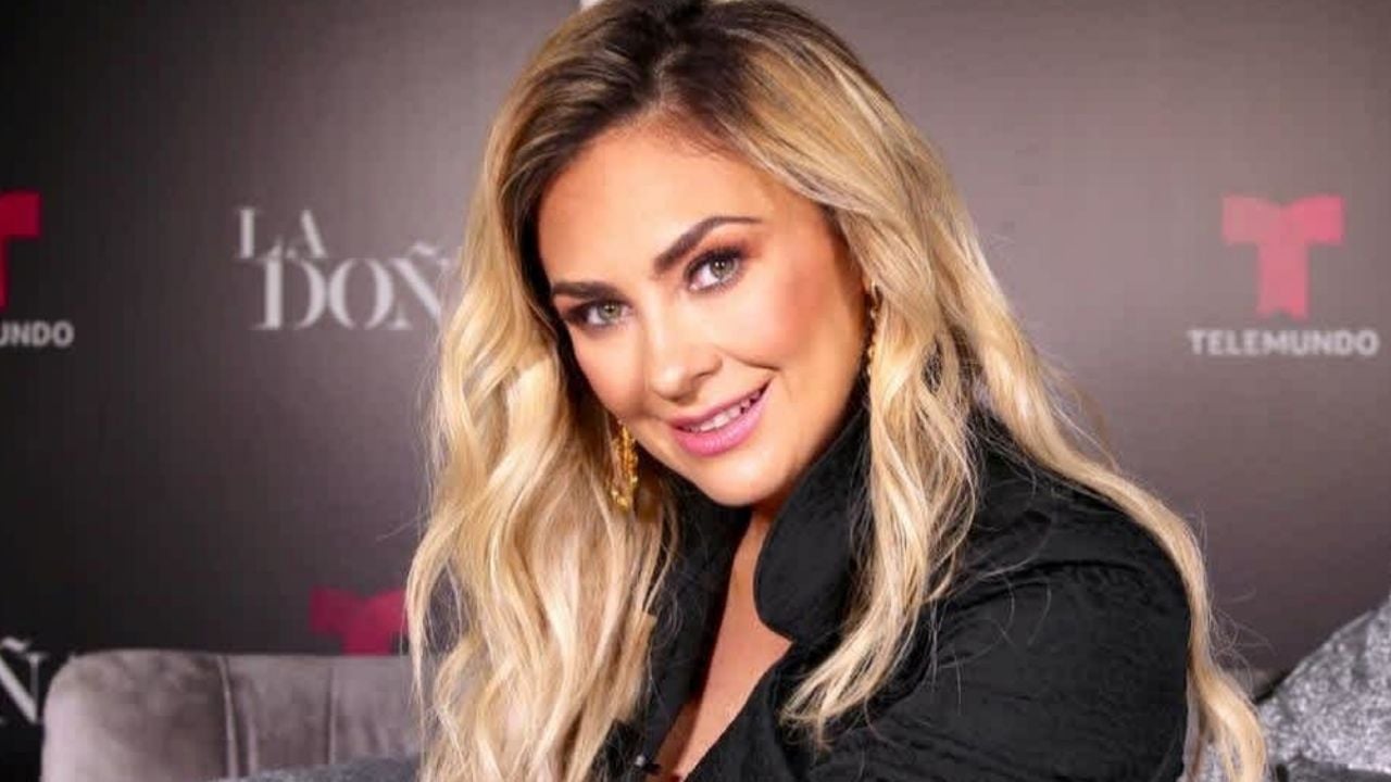 Aracely Arámbula enamora todo Instagram al modelar en espectacular vestidito