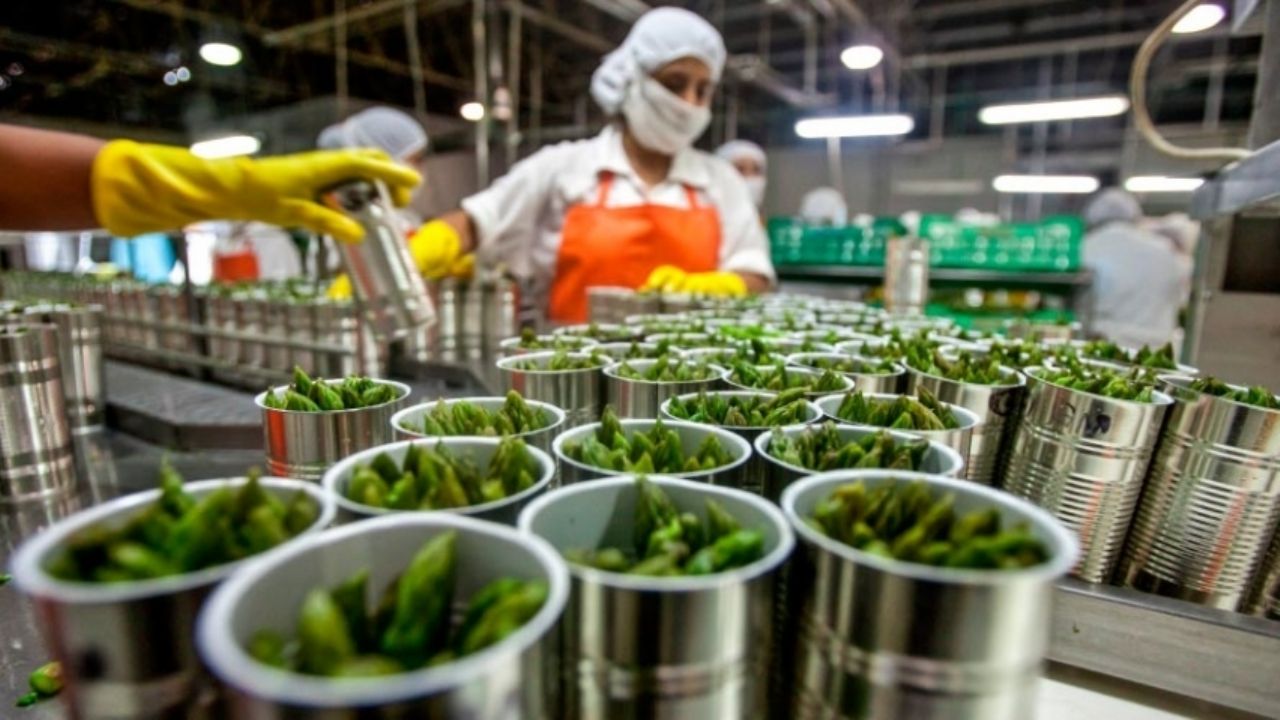 Balanza comercial mexicana logra superávit histórico en junio