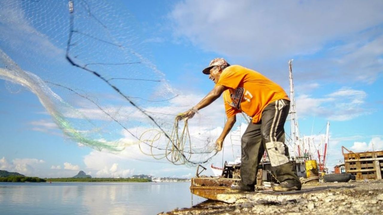 Acuacultura y pesca impulsan la economía mexicana a pesar del Covid-19