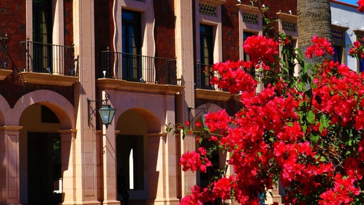 Unison dará resultados del examen de nuevo ingreso el 30 de julio; este día inicia el semestre