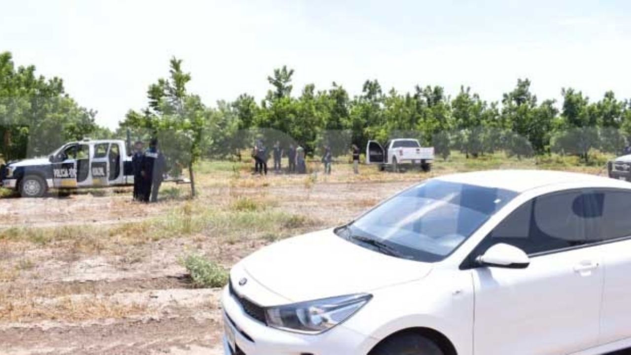 Cajeme: A la sombra de un nogal ejecutan a un hombre en ‘El Portón’