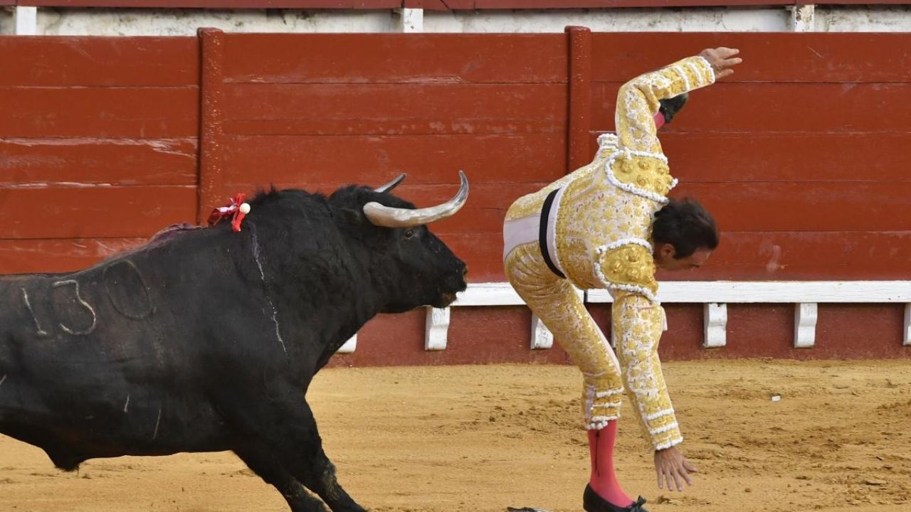 Torero sufre fuerte cornada durante una corrida en el Puerto de Santa María