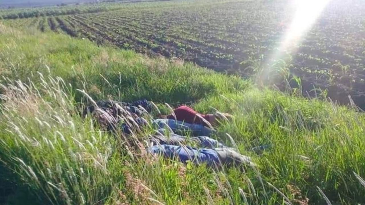 Siete cadáveres con impactos de bala son hallados en carretera de Guanajuato