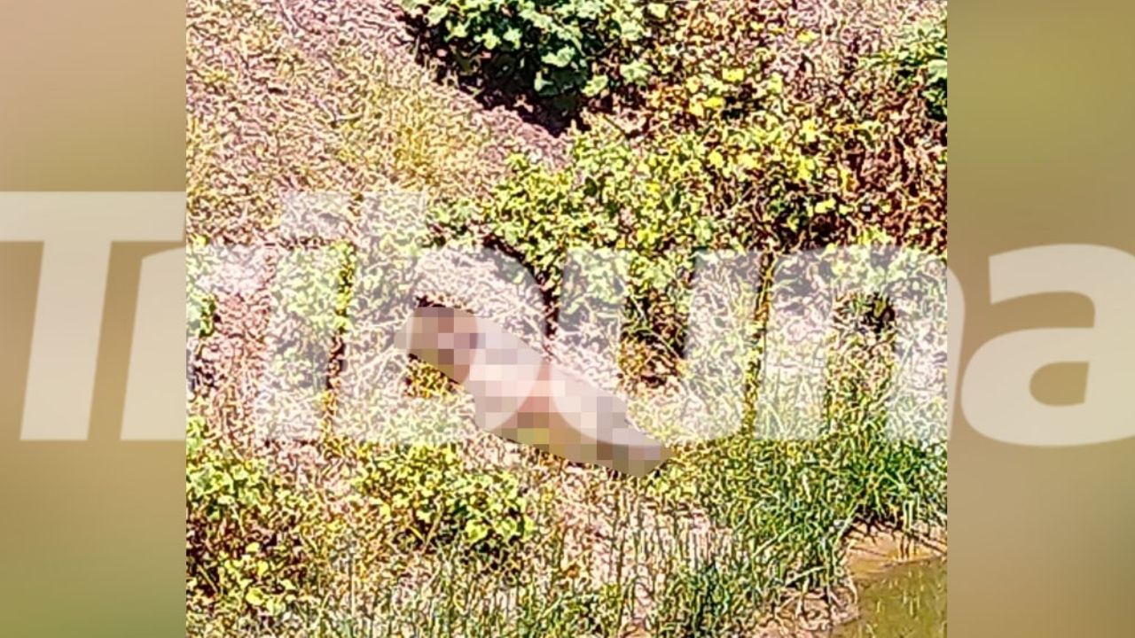 Violento martes: Encuentran cadáver con signos de tortura a la orilla de un dren en Bácum