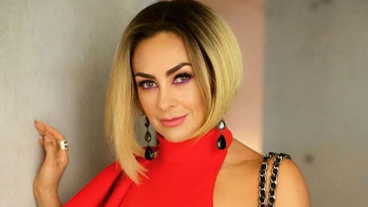 Aracely Arámbula deslumbra a fans al lucirse sobre la arena al asolearse