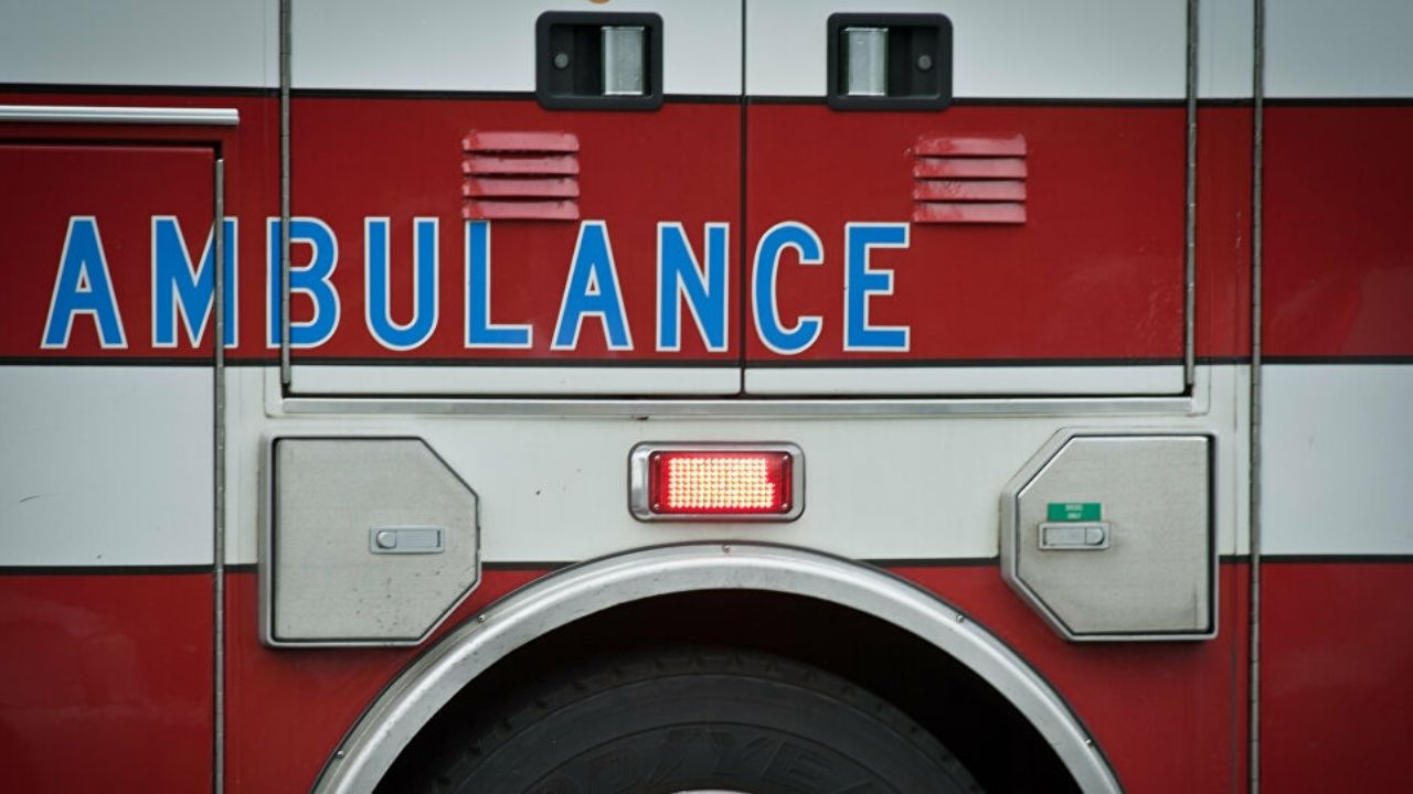 California: Registran primer caso de peste en 5 años; el paciente está estable