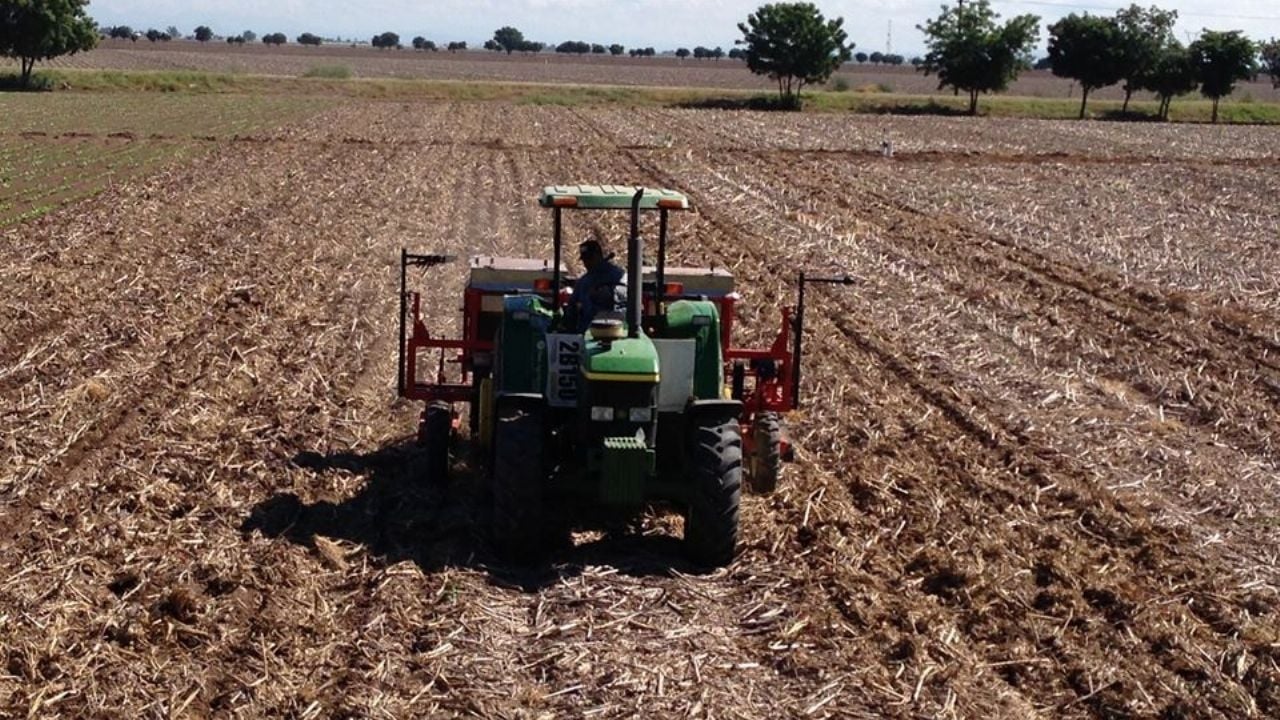 Gobierno Federal no da una respuesta positiva a los apoyos de los agricultores de Sonora