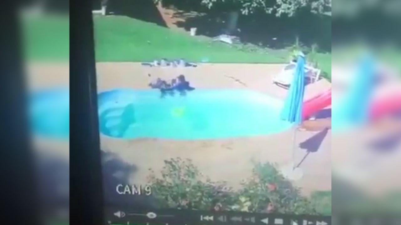 VIDEO: Niño de 3 años se convierte en héroe, salva a su amigo de morir ahogado