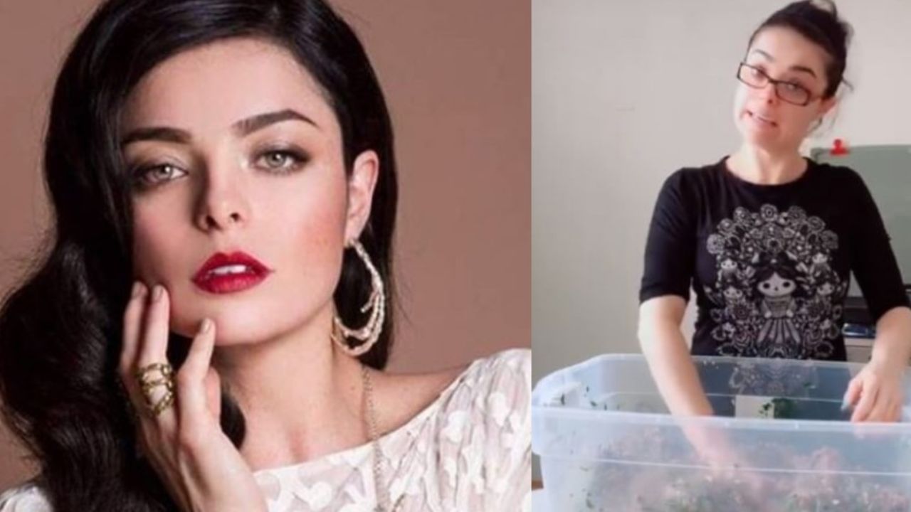 Tras vender hamburguesas para sobrevivir, actriz regresa a Televisa y da fuerte noticia