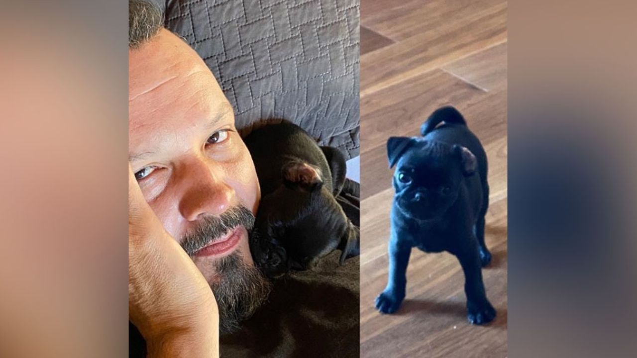 ¿Charro-vaquero? Pepe Aguilar dice ser esto y tener un perro que reacciona como fiera