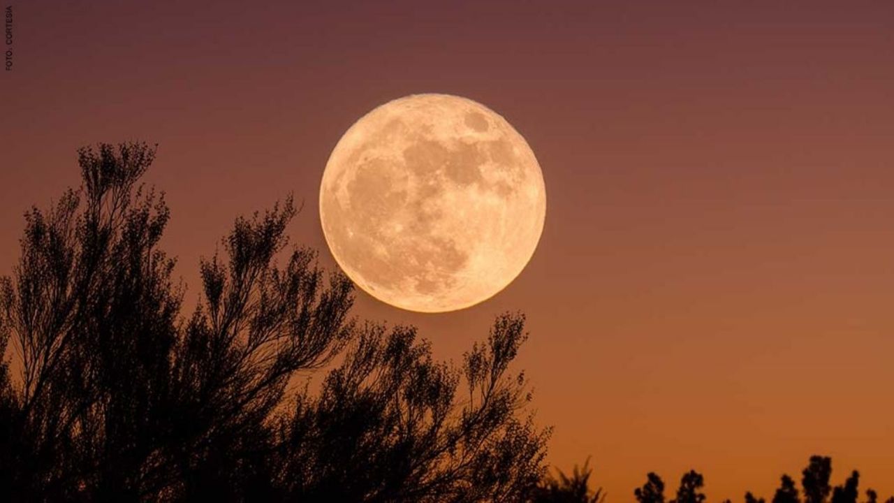 LA NASA revela cuándo se podrá ver la última ‘Luna de maíz’ de este verano
