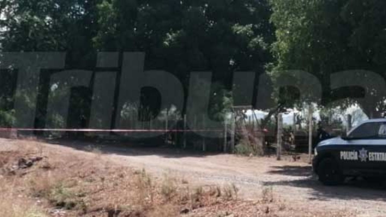 Otro macabro hallazgo: Encuentran cuerpo con el ‘tiro de gracia’ en Puente de Picos