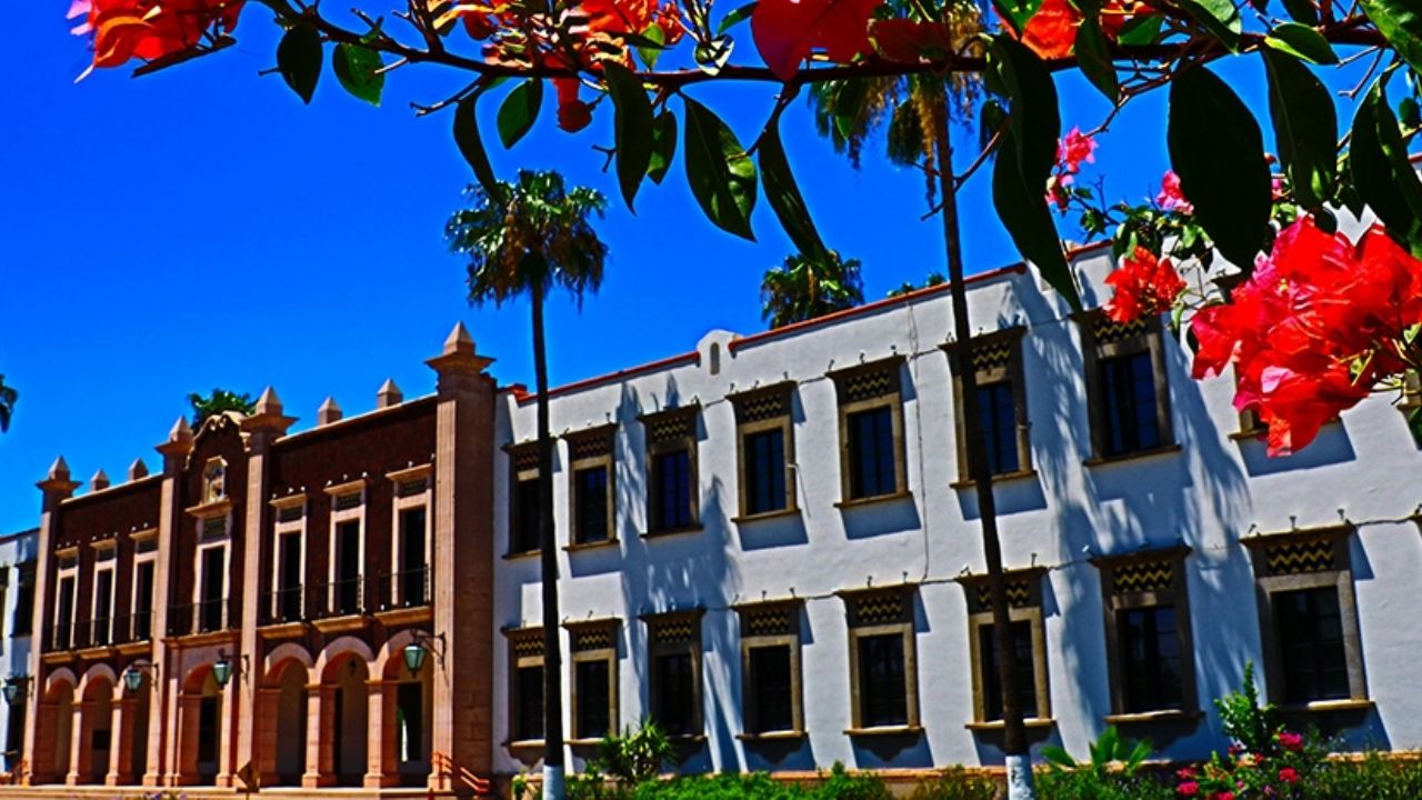 Universidad de Sonora logra mejores rendimientos académicos por parte de estudiantes