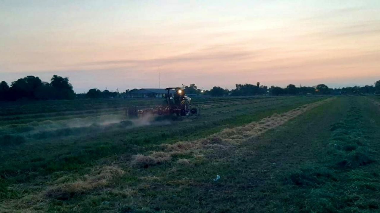 “Presupuesto para 2021 un claro mensaje de desprecio para el campo”