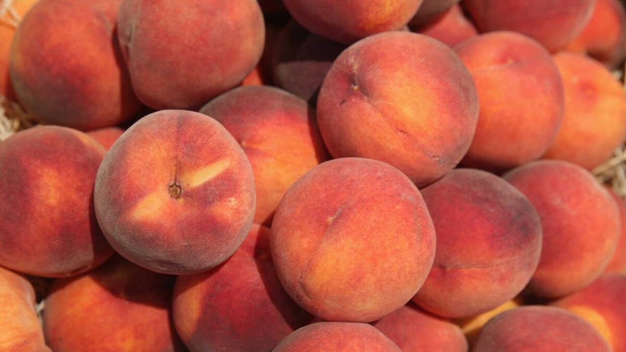 FDA advierte a Cofepris posible brote de salmonella en durazno en México