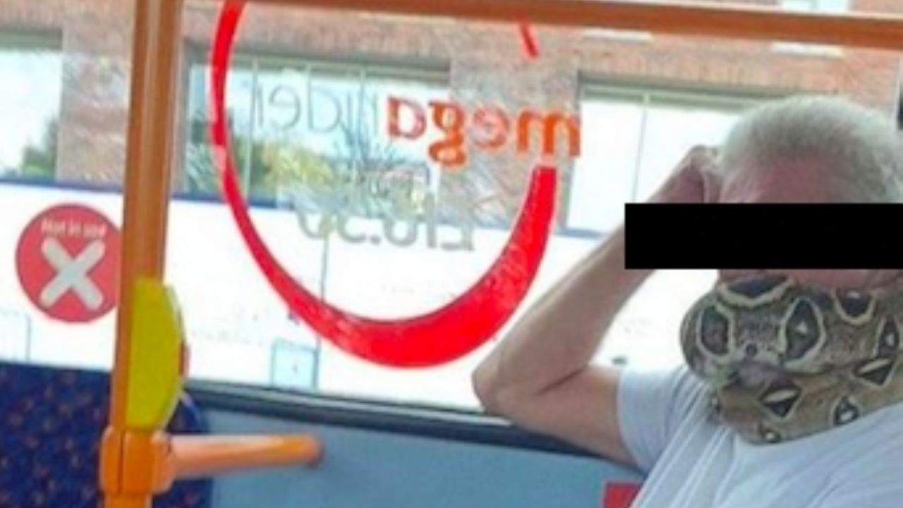 FOTOS: Hombre utiliza serpiente como cubrebocas en transporte público