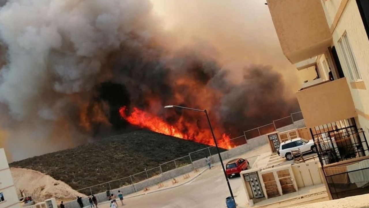 VIDEO: Impresionante incendio forestal en Tijuana aterroriza a habitantes de dos fraccionamientos