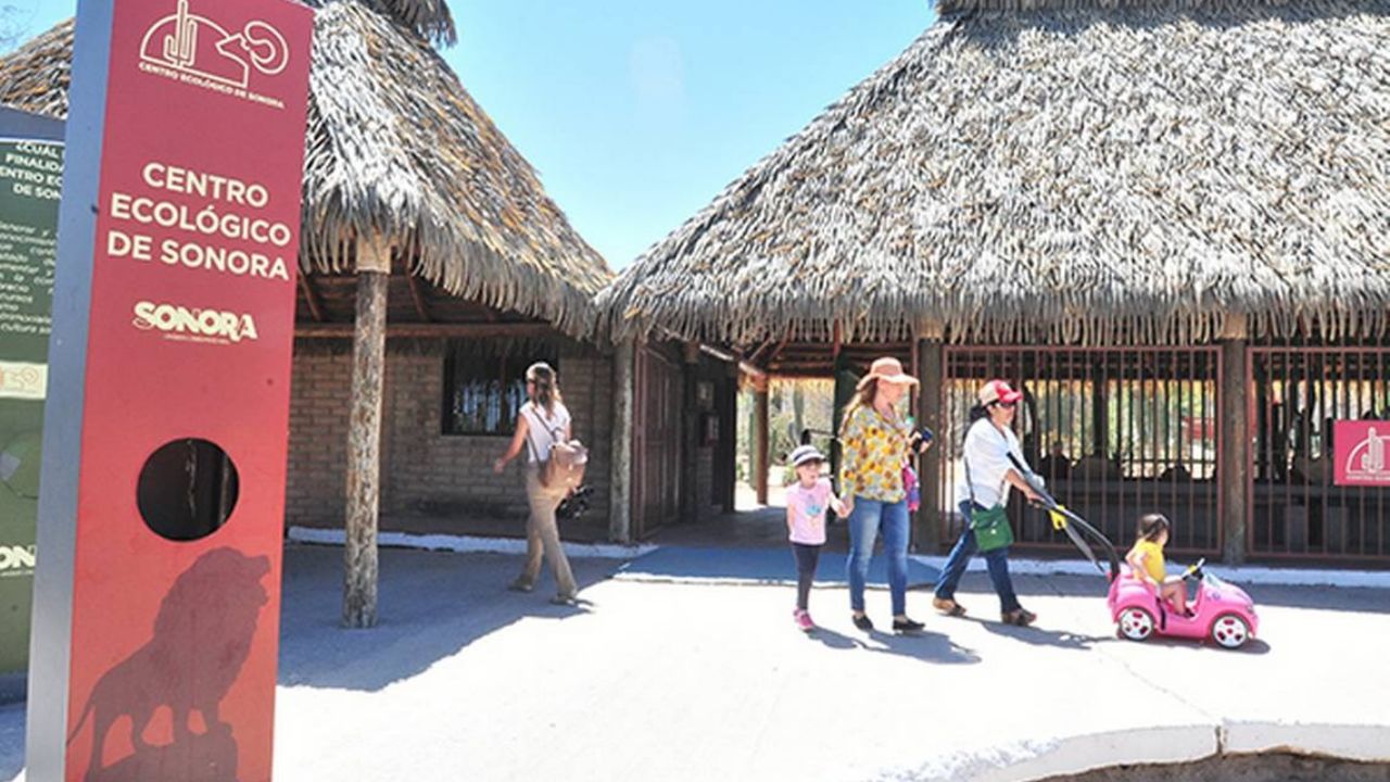 Se roban aves exóticas del Centro Ecológico de Hermosillo