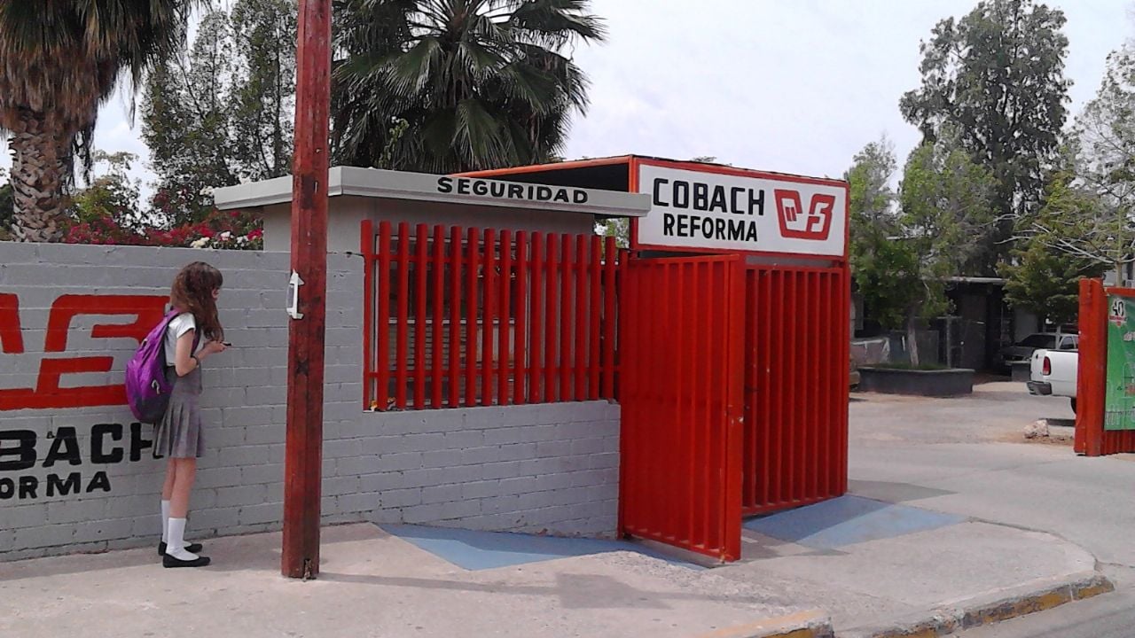 Este lunes inician las clases de manera virtual los planteles del Cobach