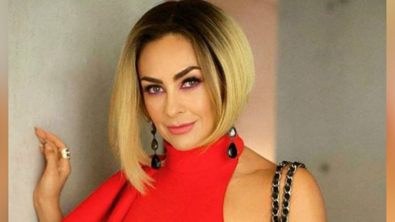 ¿Cuál calor? Aracely Arámbula deleita la pupila de fans al posar maravillosa