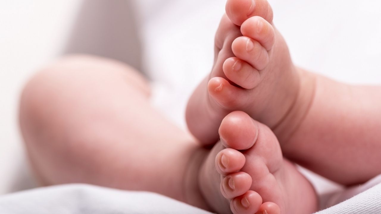 CDMX: Encuentran cuerpo de un bebé entre la basura en la colonia Doctores