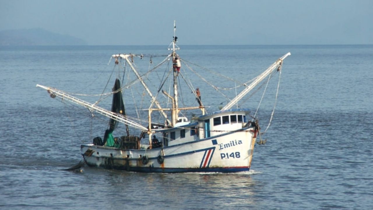 Alerta en Sonora por ataque de Tiburón al sur del estado