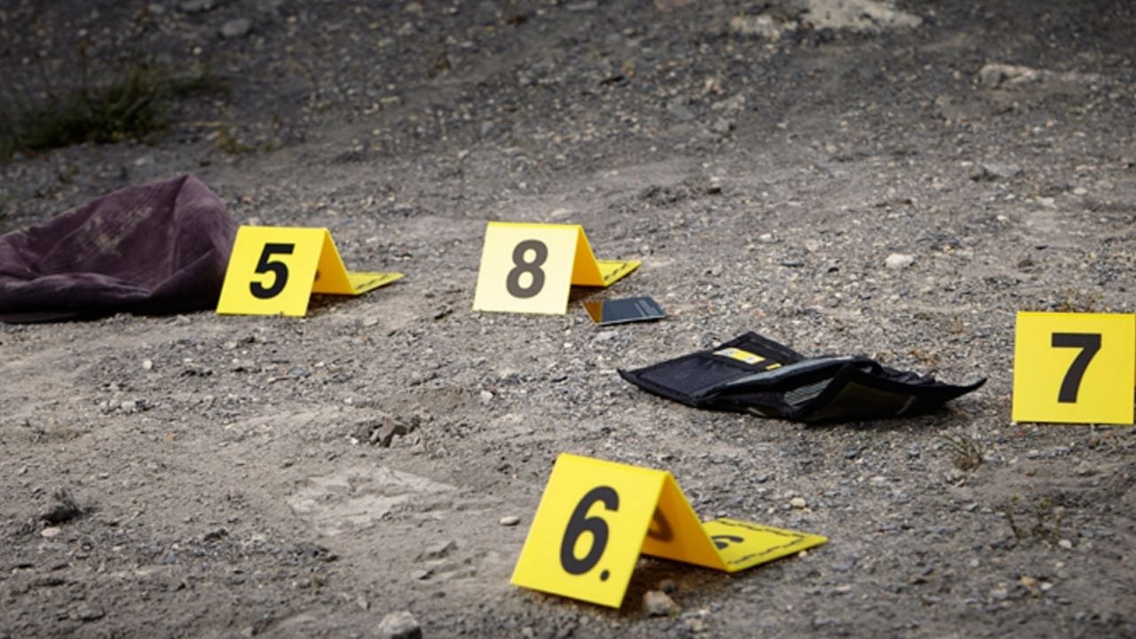 Casquillos percutidos en la zona