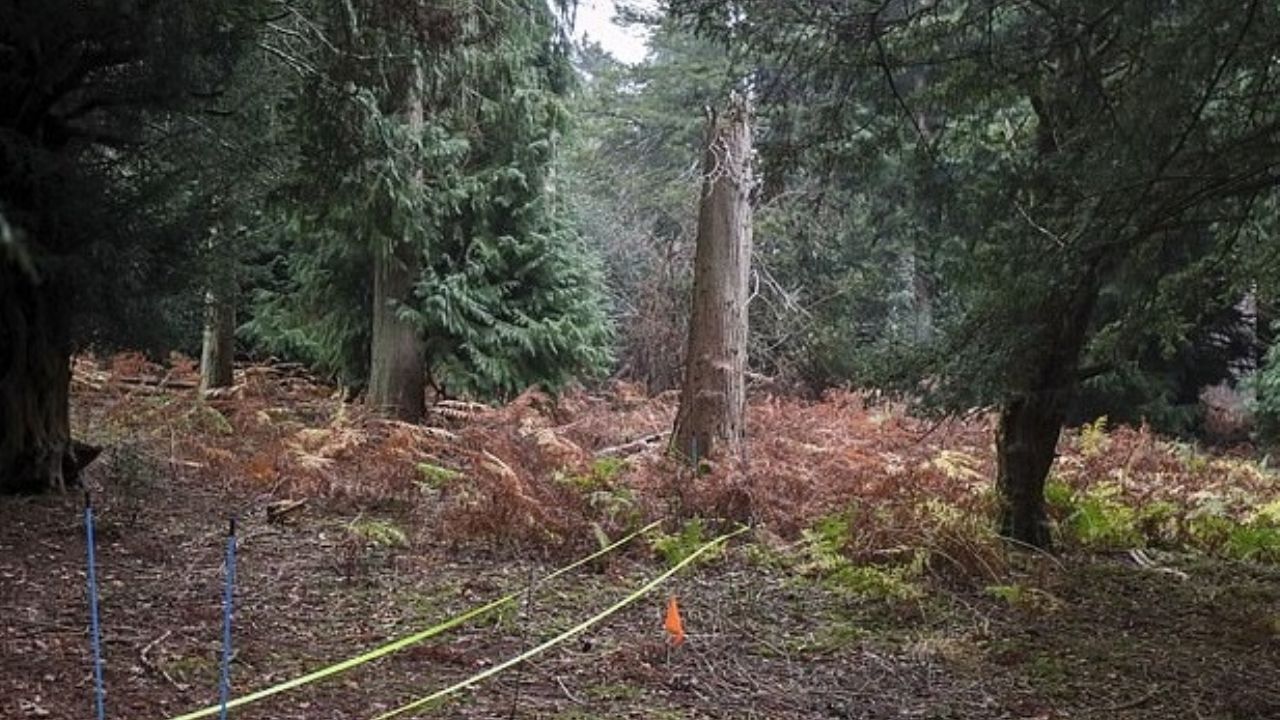El bosque en Havant Thicket en Hampshire donde encontraron a Louise: FOTO: AP