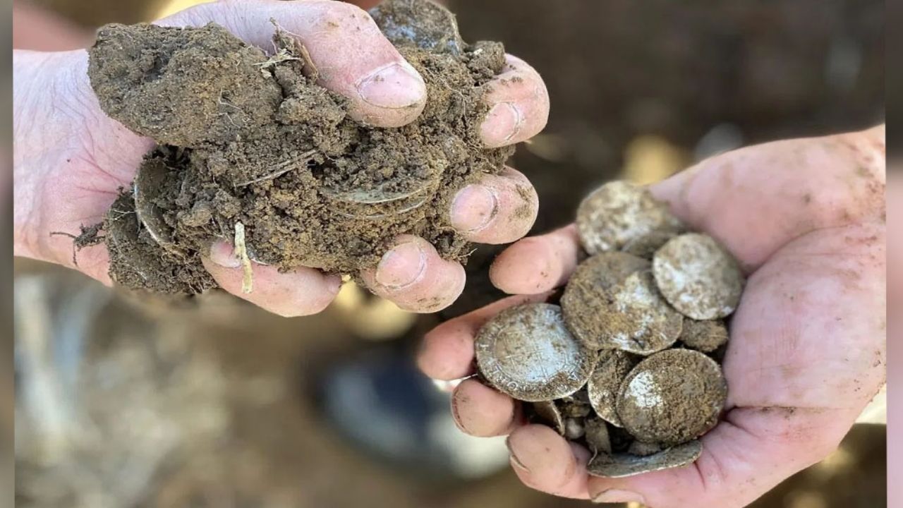 Golpe de suerte: Hombre mira aves pelear, descubre tesoro y se vuelve millonario