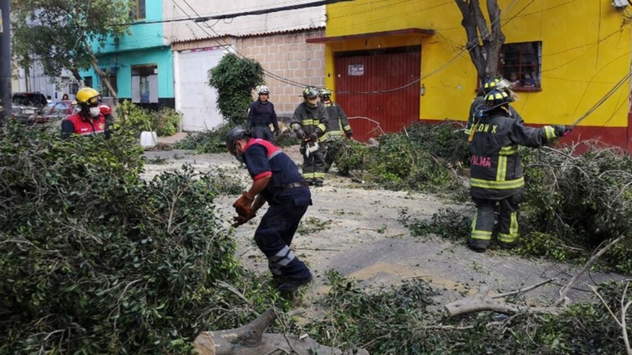Fuertes vientos derrumban árboles y causan daños en CDMX; lanzan alerta amarilla