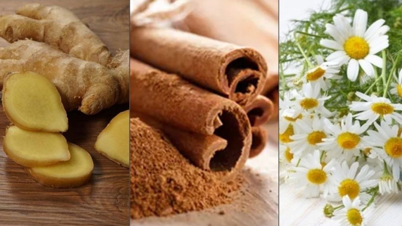 Tés naturales para controlar las molestias causadas por los cólicos menstruales