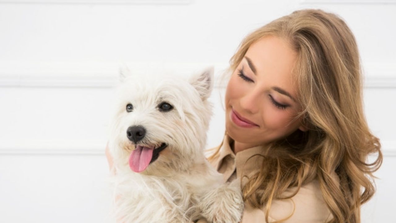 Más fácil de lo que imaginas: Enseña a tu perro a ir al baño con ayuda de estos pasos