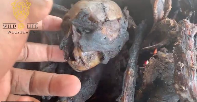 mercado de Nigeria donde podría surgir un nuevo coronavirus