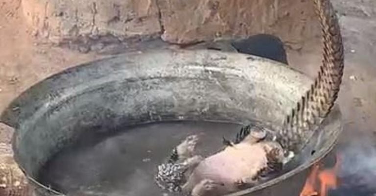 mercado de Nigeria donde podría surgir un nuevo coronavirus