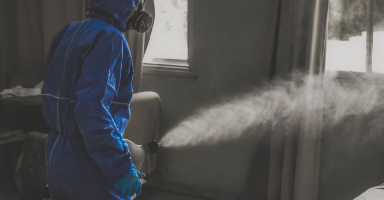 gripe aviar H5N8 detectado en humanos en Rusia