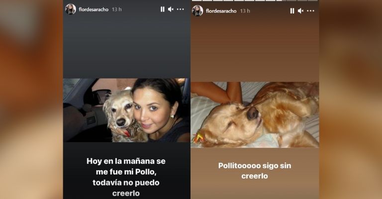 Florencia de Saracho 