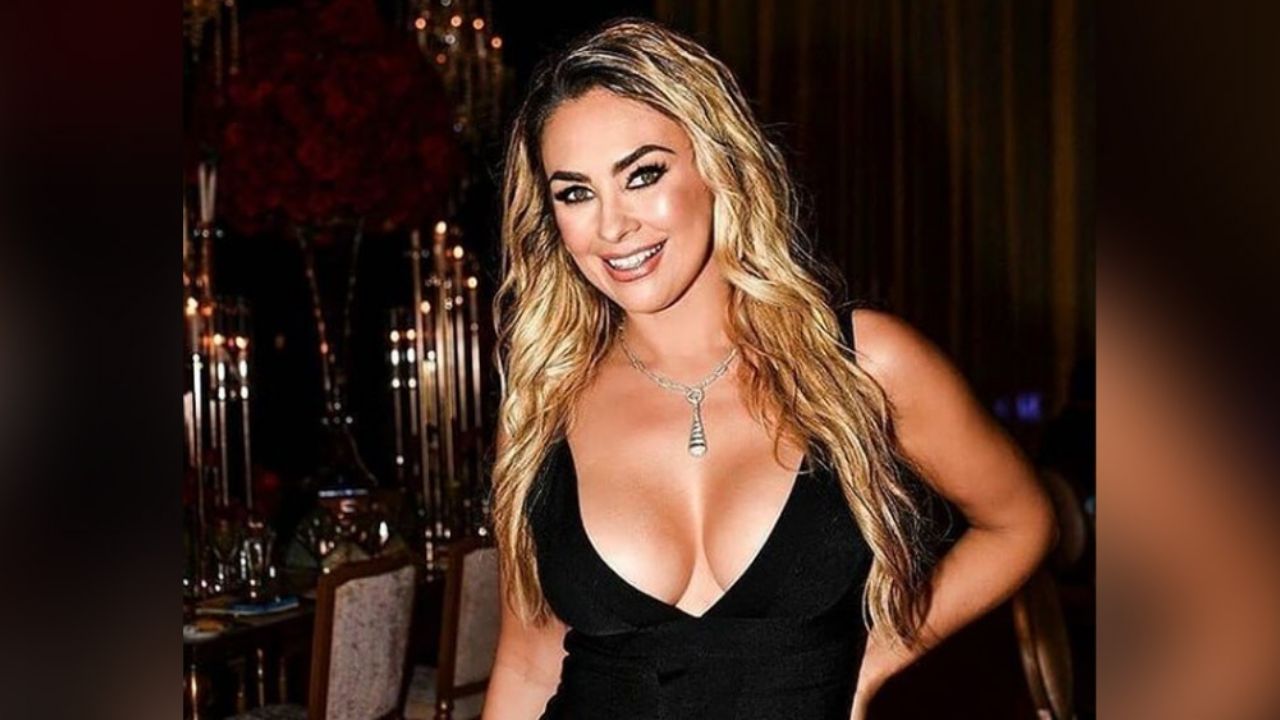 VIDEO: Aracely Arámbula se luce con encantador ‘outfit’ rosado y paraliza Instagram