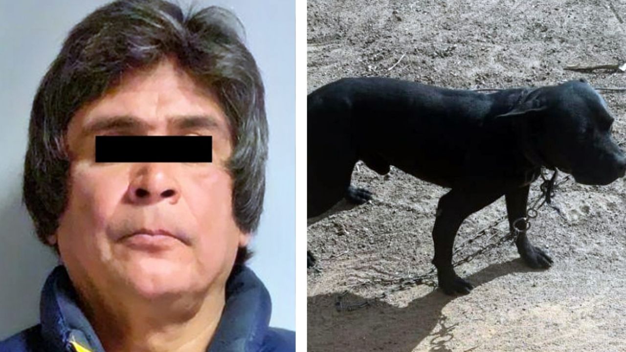 Omar Alonso de 51 años apuñaló a una perrita en Sonora y ahora se encuentra tras las rejas