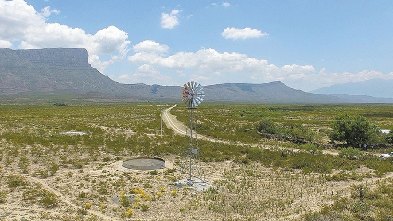 Sonora dentro de proyectos productivos que fomenta Sader en zonas áridas y semiáridas