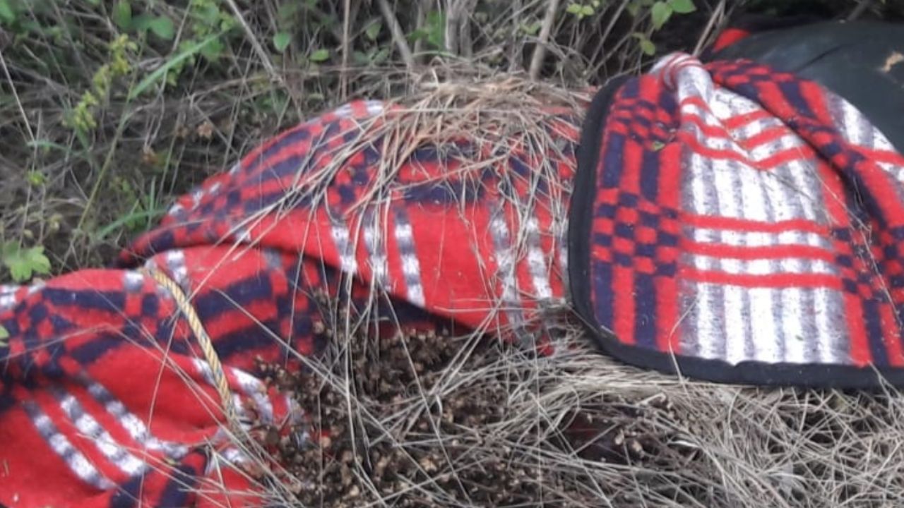 Tenía 35 años: Hallan a hombre ‘encobijado’ en carretera de Sonora; habría sido ‘levantado’