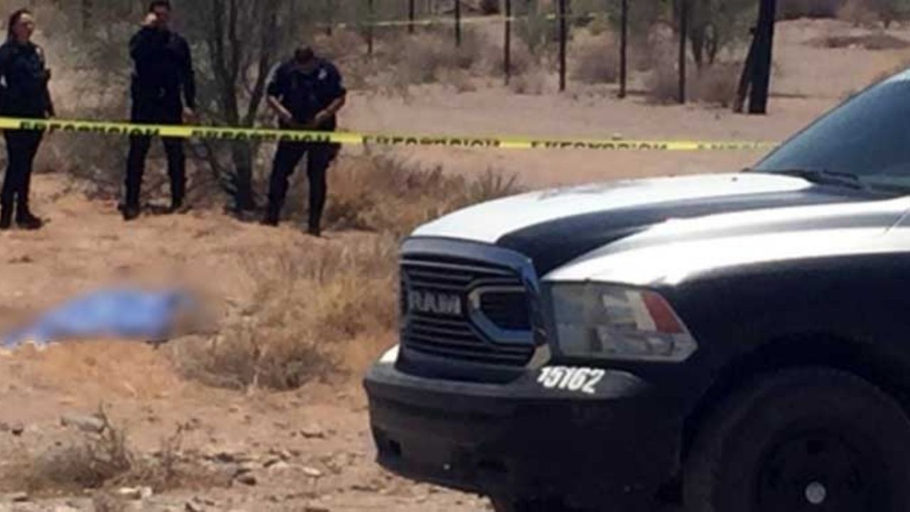 Recrudece la violencia en Caborca: Ejecutan a uno en campo agrícola de la y Griega
