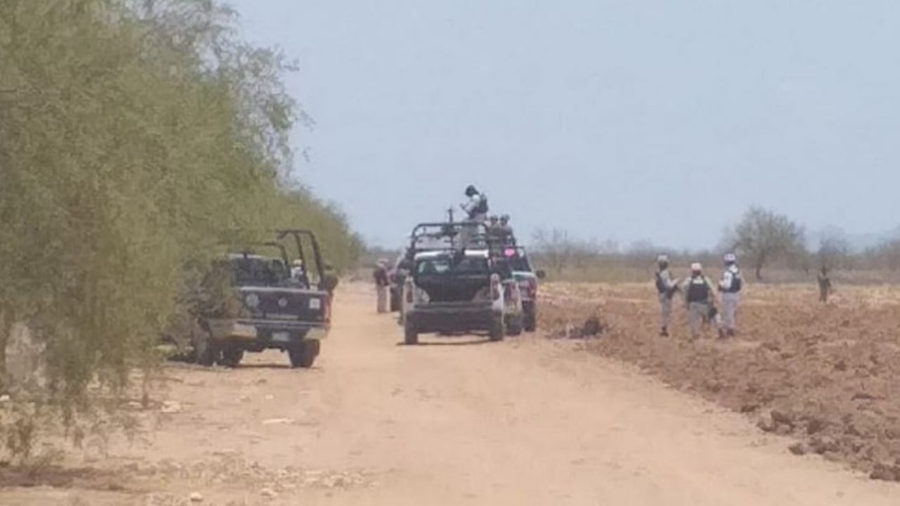 Sonora: Encuentran sin vida a joven en predio del Valle de Guaymas; le dieron el ‘tiro de gracia’