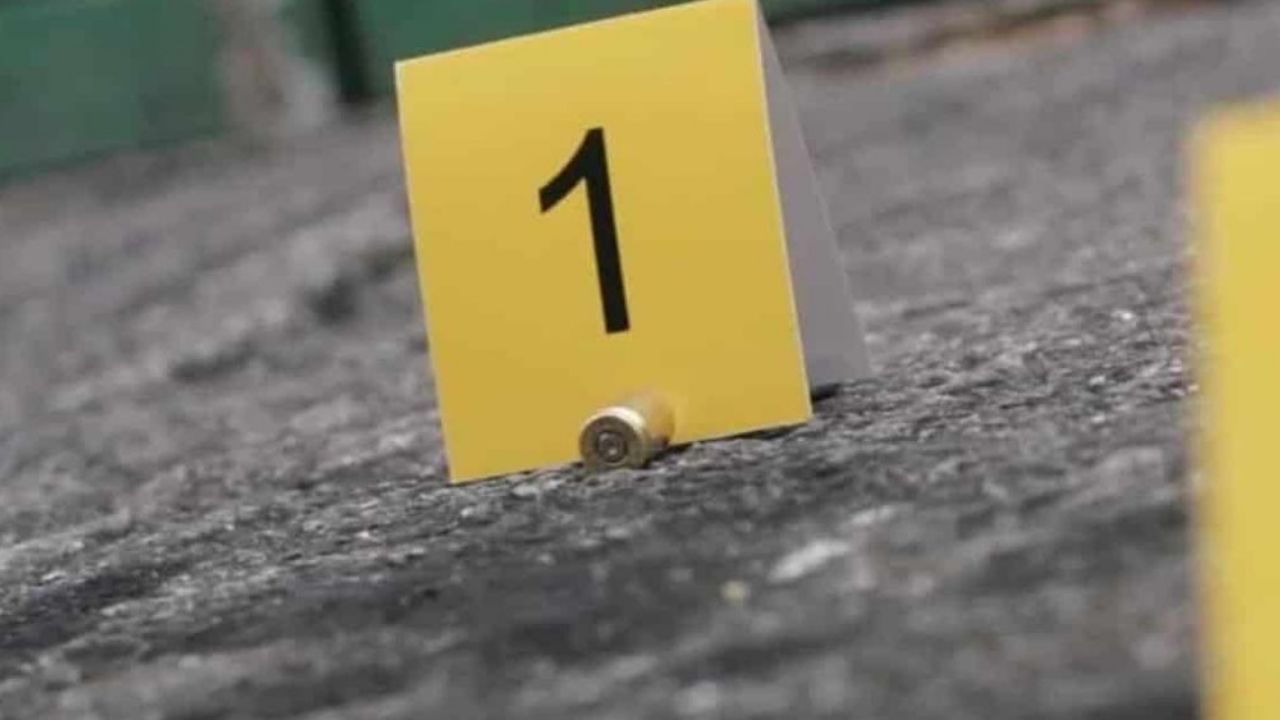 Casquillos percutidos en la zona