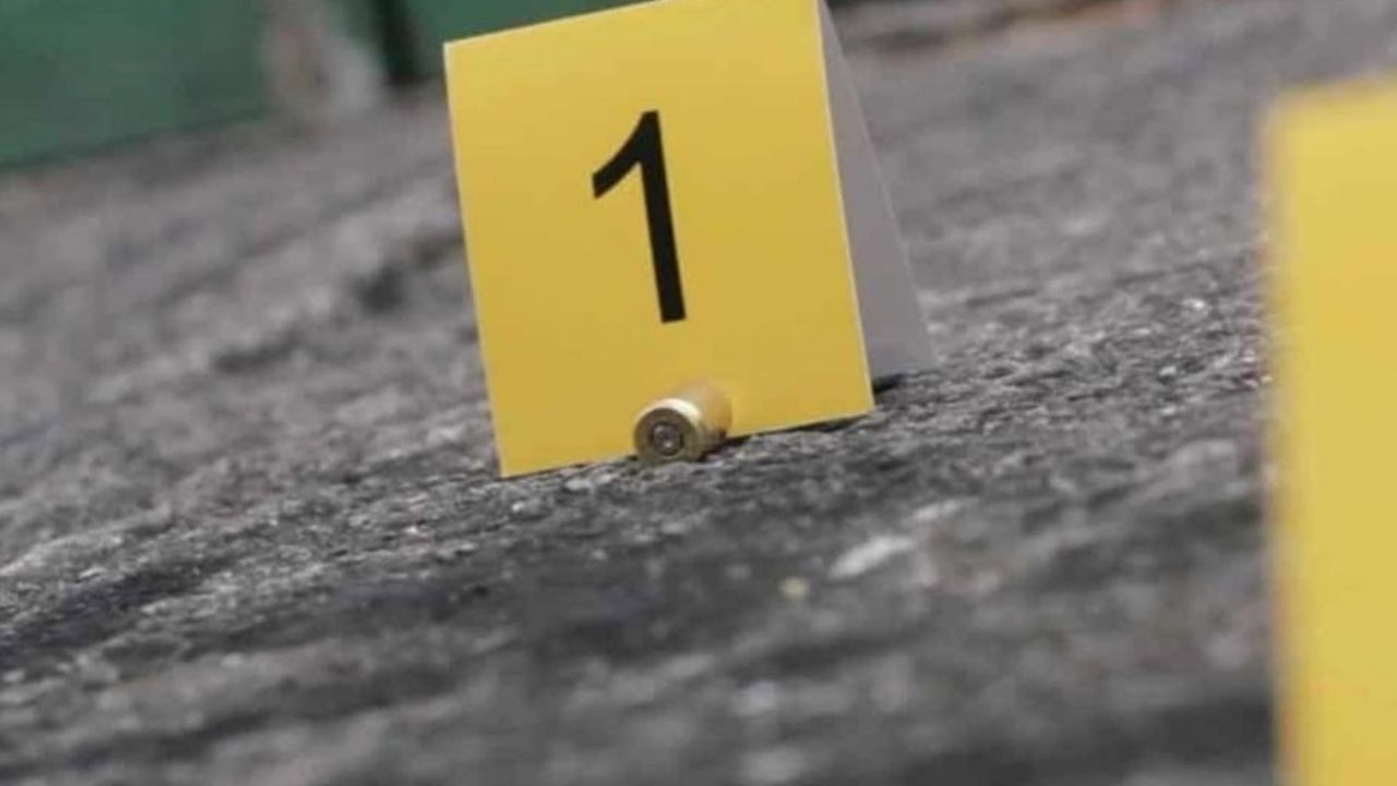 Casquillos percutidos en la zona