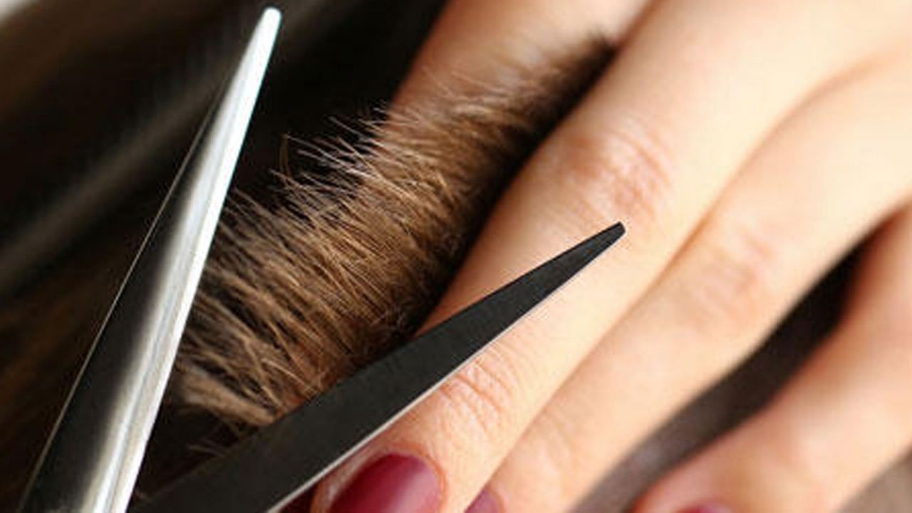 Hermosillo: Menor le cortaba el cabello y se aprovecha para tocarla indebidamente