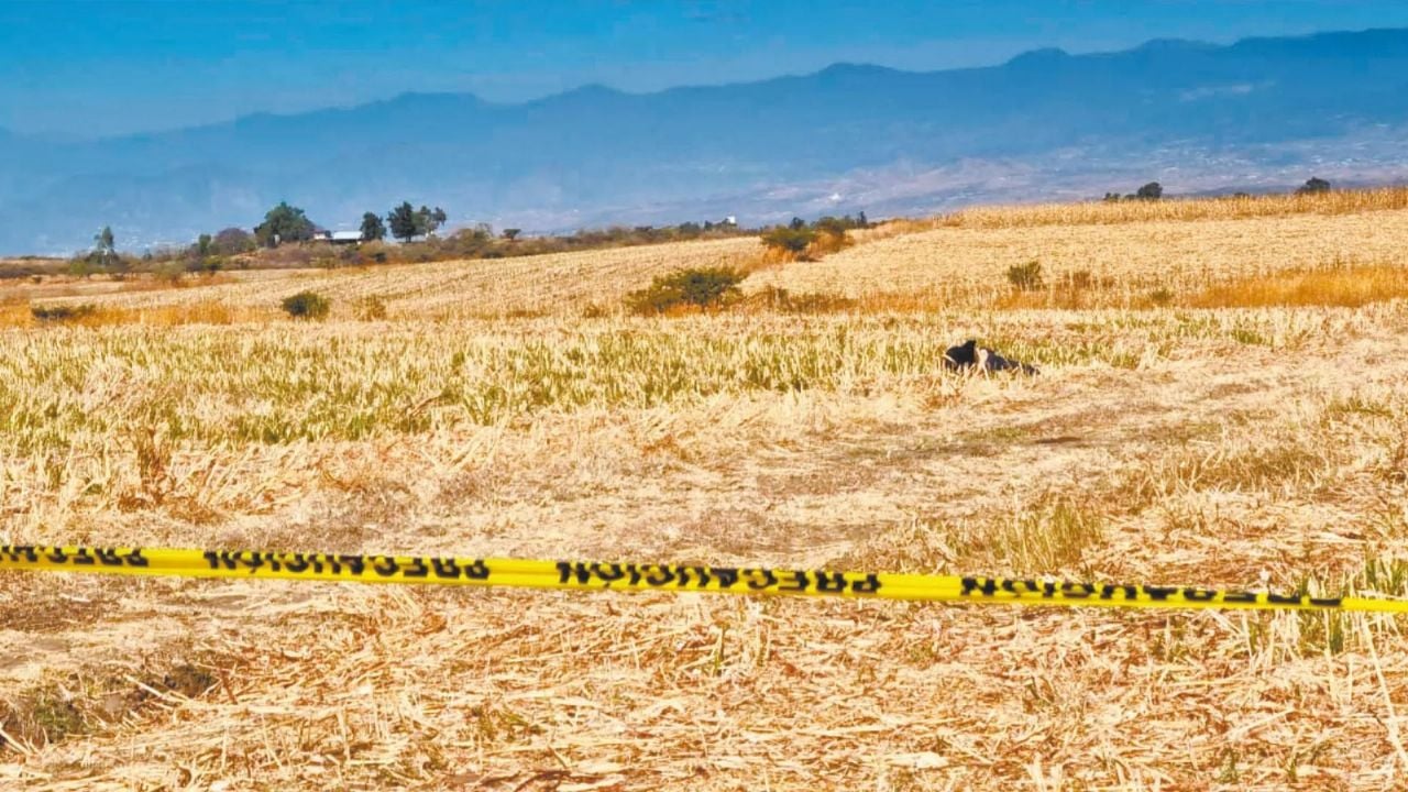 Autoridades presentes en el lugar de los hechos